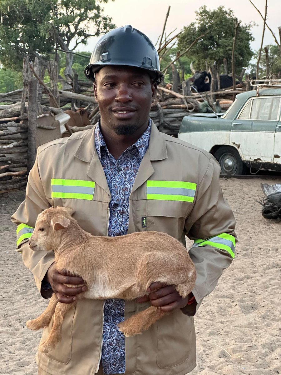 Tendai Chirau tweet media