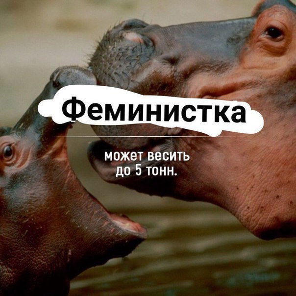 Alex Pacific tweet media