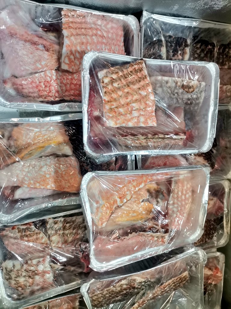 shaahid_96's tweet image. #raimas  #giulhu  #shiraanee 😊 @fishclub_MV  🐠754-9696
#ungoofaarufishclub 🐬