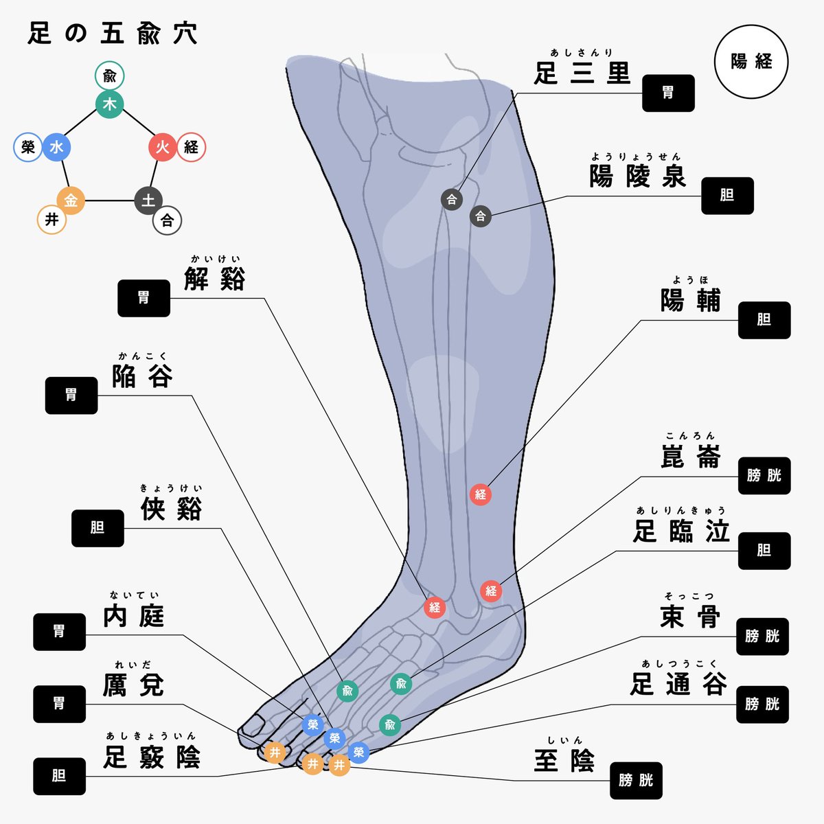 鍼灸師 シー on X