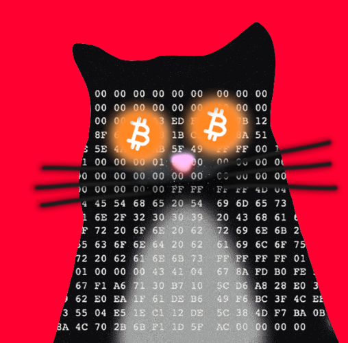 GandalfTheSat's tweet photo. Gmeow #QuantumCats #teamalive https://t.co/RKebrDtbBA
