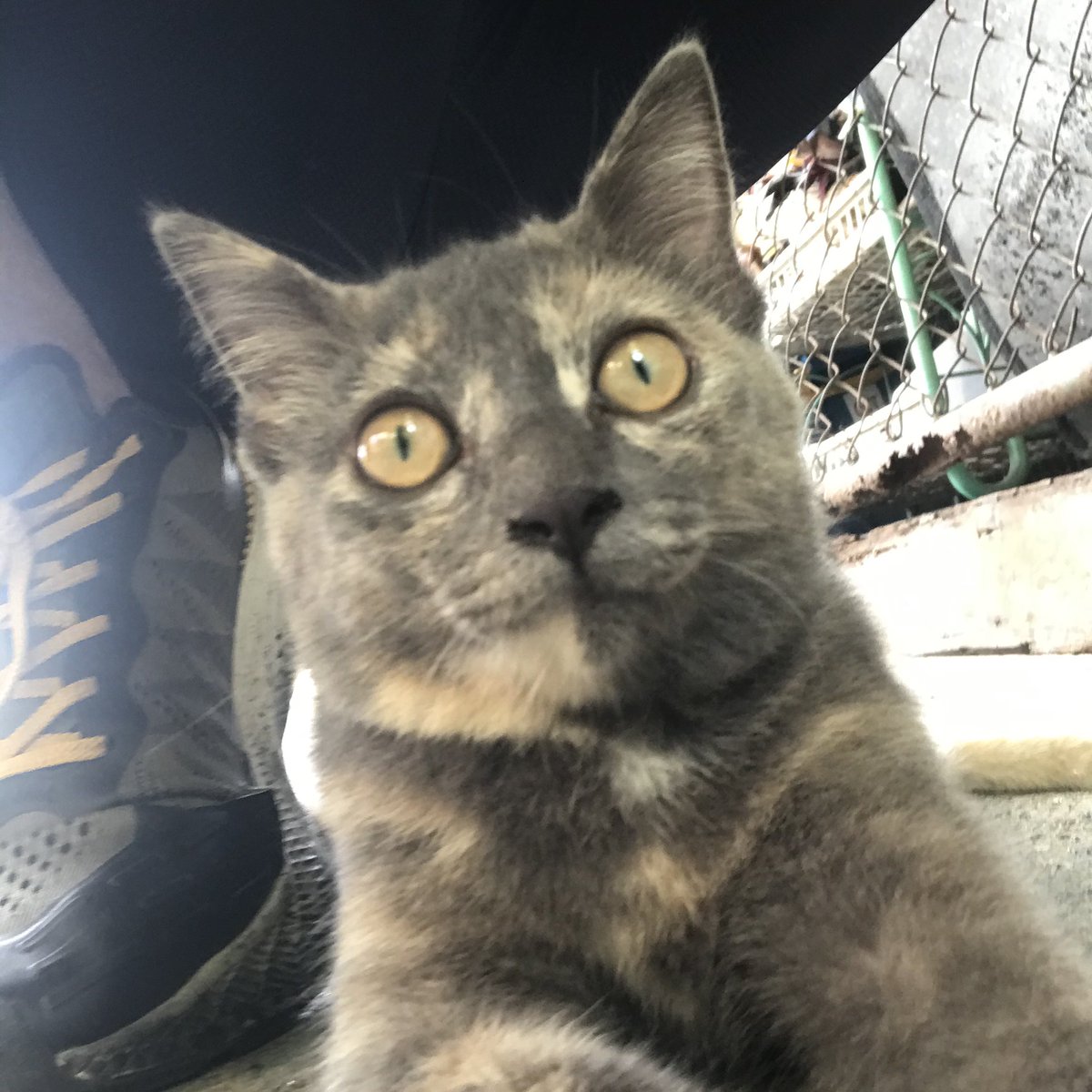 渐入 (@vanlounge7788) on Twitter photo 