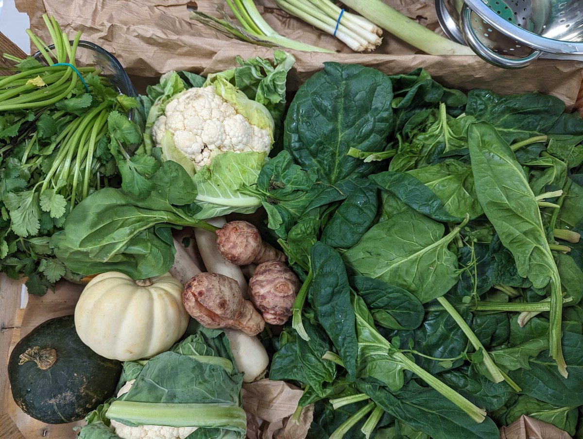 Soup making. Pick a colour and make your own recipe. 
Seasonal, surplus and budget practical skills at their best. Looking at a how we grow and what we grow, along with reducing food waste. Enjoy and eat in lesson! 
<a href="/connect_tha/">Community Connections at The Halifax Academy</a> <a href="/OrganicNorth/">Organic North</a> <a href="/NoChildBehindUK/">No Child Left Behind</a> <a href="/SumaWholefoods/">Suma Wholefoods</a>