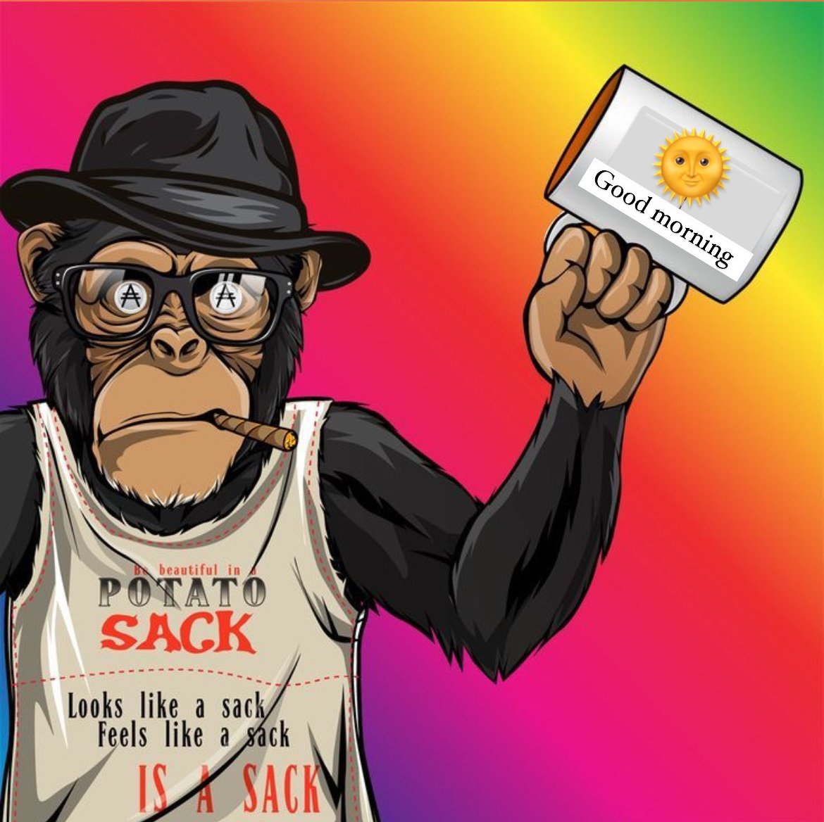 TechTokenArtist's tweet image. Morning 🌞🌞🌞🌞