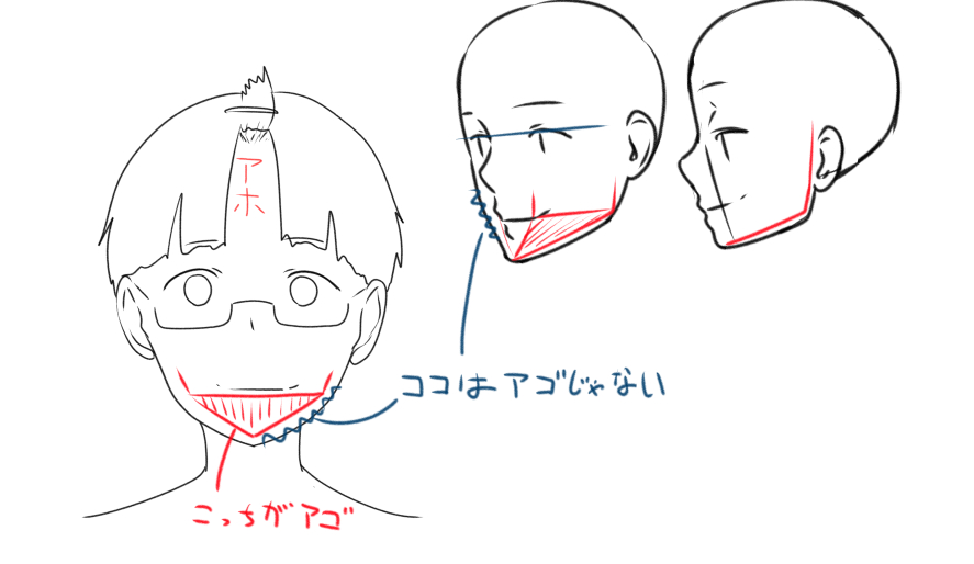 正面の絵を描く時に顎のイメージで線引いてたけど
もしかして間違えていたのでは…:D 