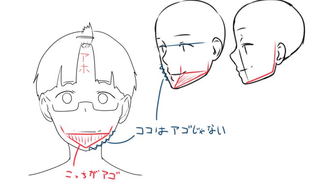 正面の絵を描く時に顎のイメージで線引いてたけど
もしかして間違えていたのでは…:D 
