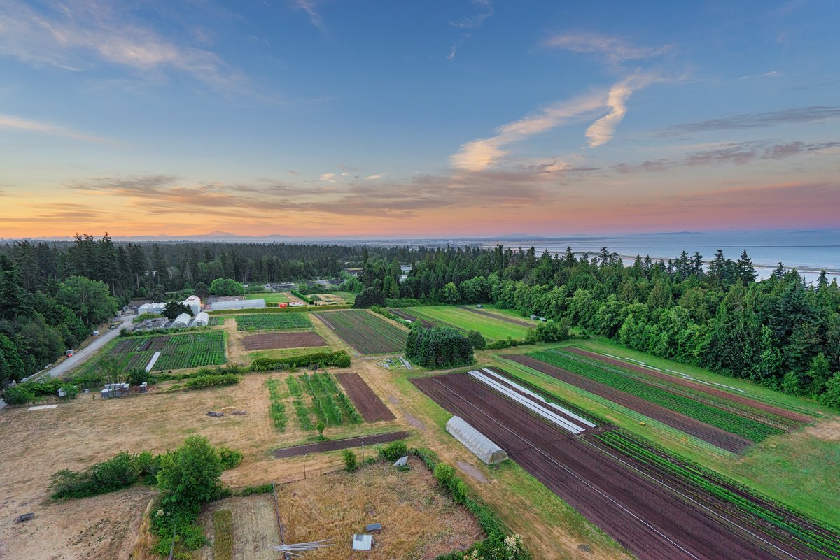 The 24-hectare UBC Farm is organically managed, & UBC Farm produce is certified organic. They cultivate over 200 varieties of fruits, vegetables, & herbs, as well as honey beehives. Learn about the CSSS 2023 meeting tour: csss2024.landfood.ubc.ca/field-tours-an…
