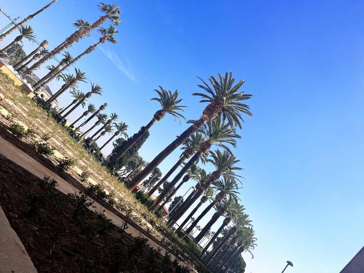 IsabelRamirezRD's tweet photo. The view while laying down outside the #tekon medical center waiting for @tessfalor appt in 30 mins. https://t.co/yZkAyxeUV6