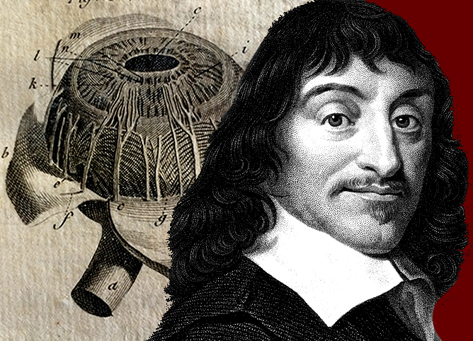 DESCARTES’S DREAMS | Philip Newman Lawton
“In dreams,” said Delmore Schwartz, “begin responsibilities.” This is nowhere truer than in the case of René Descartes (1596-1650), whose dreams committed him without reserve to the life of the mind...
themontrealreview.com/Articles/Desca…