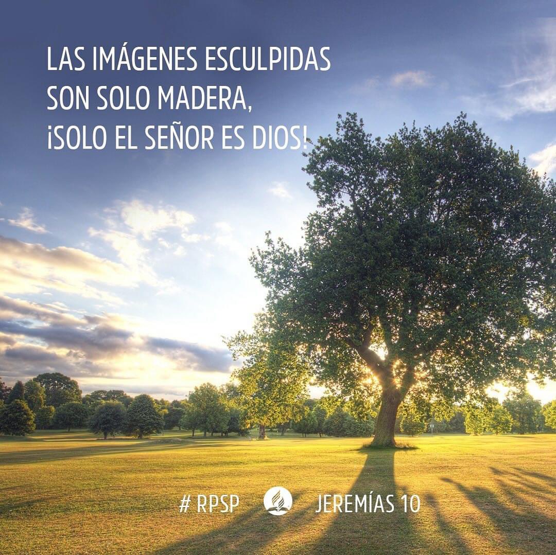 Jeremías 10

Nos recuerda la vanidad de los ídolos y la soberanía de Dios. 

En un mundo lleno de distracciones, solo Él merece nuestra adoración y confianza. #SóloDios 

#rpsp