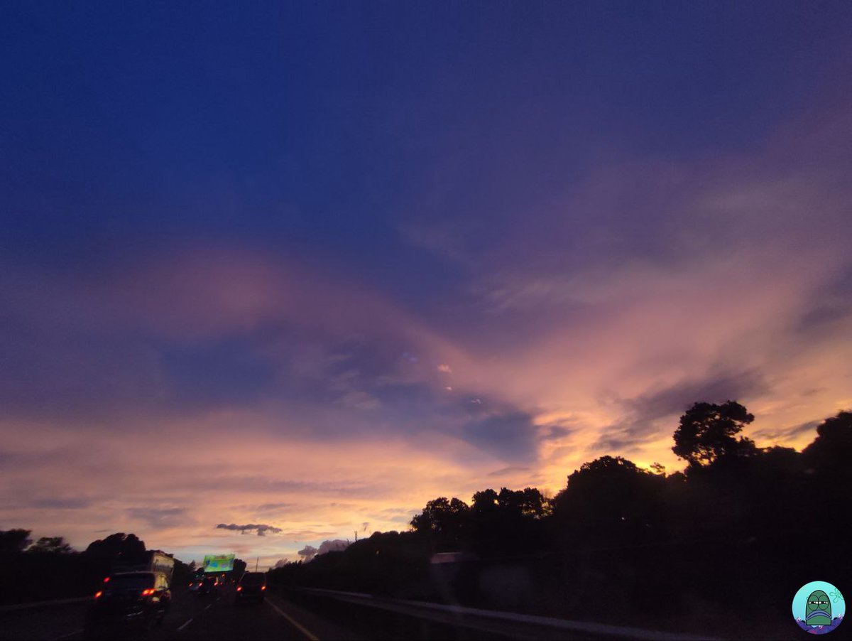 Tanyarl 💚 tweet media