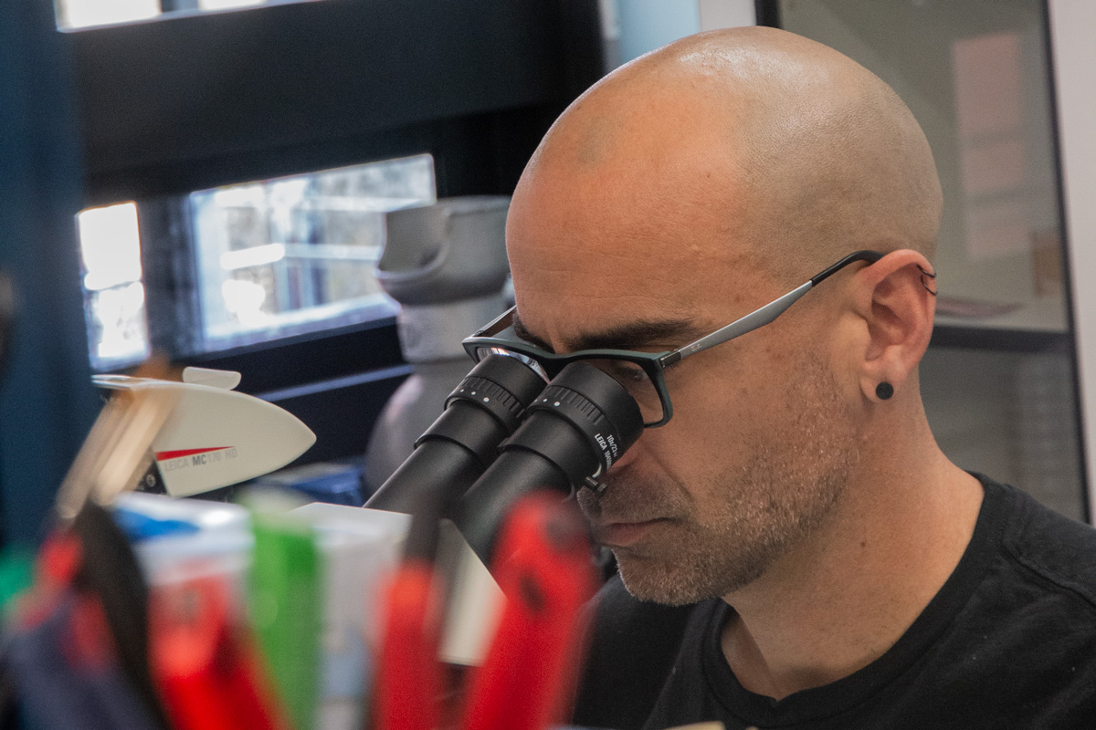 Metode_eng's tweet photo. #ScienceSpaces | Do you know how environmental changes affect sexual selection?
👉 @paucarazo, professor at the Department of Zoology of @BiologiquesUV and researcher at @ICBiBE_UV, studies the generation and maintenance of biodiversity:
https://t.co/l7tKxNUPj7 https://t.co/rqx4W3GOJY
