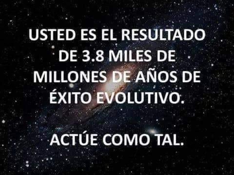 Enséñame de Ciencia (@ensedeciencia) on Twitter photo 