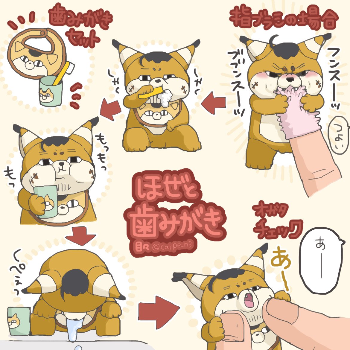 🐱ほぜとハミガキ🪥