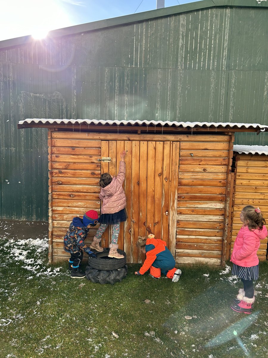 #tashschool Early learning students showing cooperation and perseverance to get some icicles.
