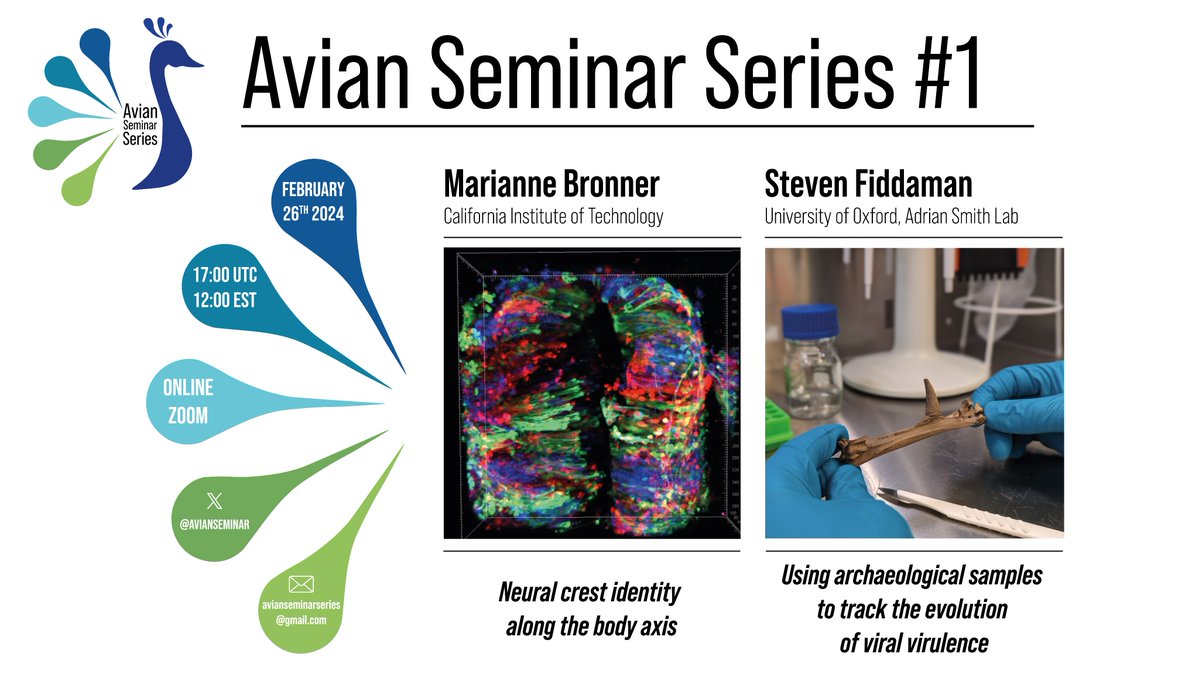 Avian Seminar Series (@avianseminar) on Twitter photo We are pleased to announce the start of the monthly online Avian Seminar Series on Monday, February 26th, at 5 pm UTC via Zoom 🦚. With <a href="/BronnerMarianne/">marianne bronner</a> and <a href="/StevenFiddaman/">Steven Fiddaman</a> for our first session. Registration : forms.gle/NjjaFGzuCNXpgF… We are pleased to announce the start of the monthly online Avian Seminar Series on Monday, February 26th, at 5 pm UTC via Zoom 🦚. With <a href="/BronnerMarianne/">marianne bronner</a> and <a href="/StevenFiddaman/">Steven Fiddaman</a> for our first session. Registration : forms.gle/NjjaFGzuCNXpgF…