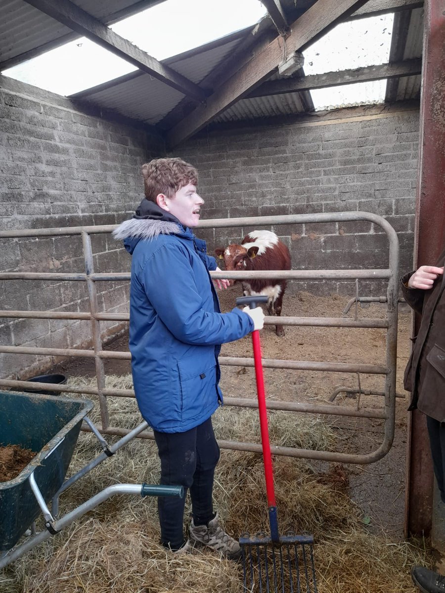 RuralSupport's tweet photo. Social Farming focuses on providing a service which is based on 3 pillars – a person centred service, a place for all &amp; a safe farm environment. Here you can see an Jude enjoying mucking out a Moile during his weekly session at @LaurelView Equestrian Centre &amp; Farm https://t.co/3gWAZEaACT