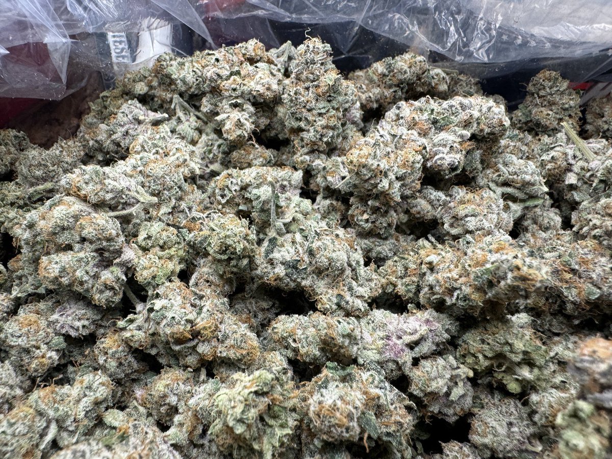 Don’t struggle. Stay elevated with energy giving strains $350 Qp #weed #weedlife #WeedLovers