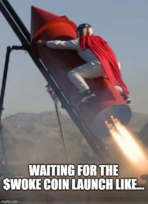 H1_5_AK's tweet image. First they were $Gone now they are $woke!