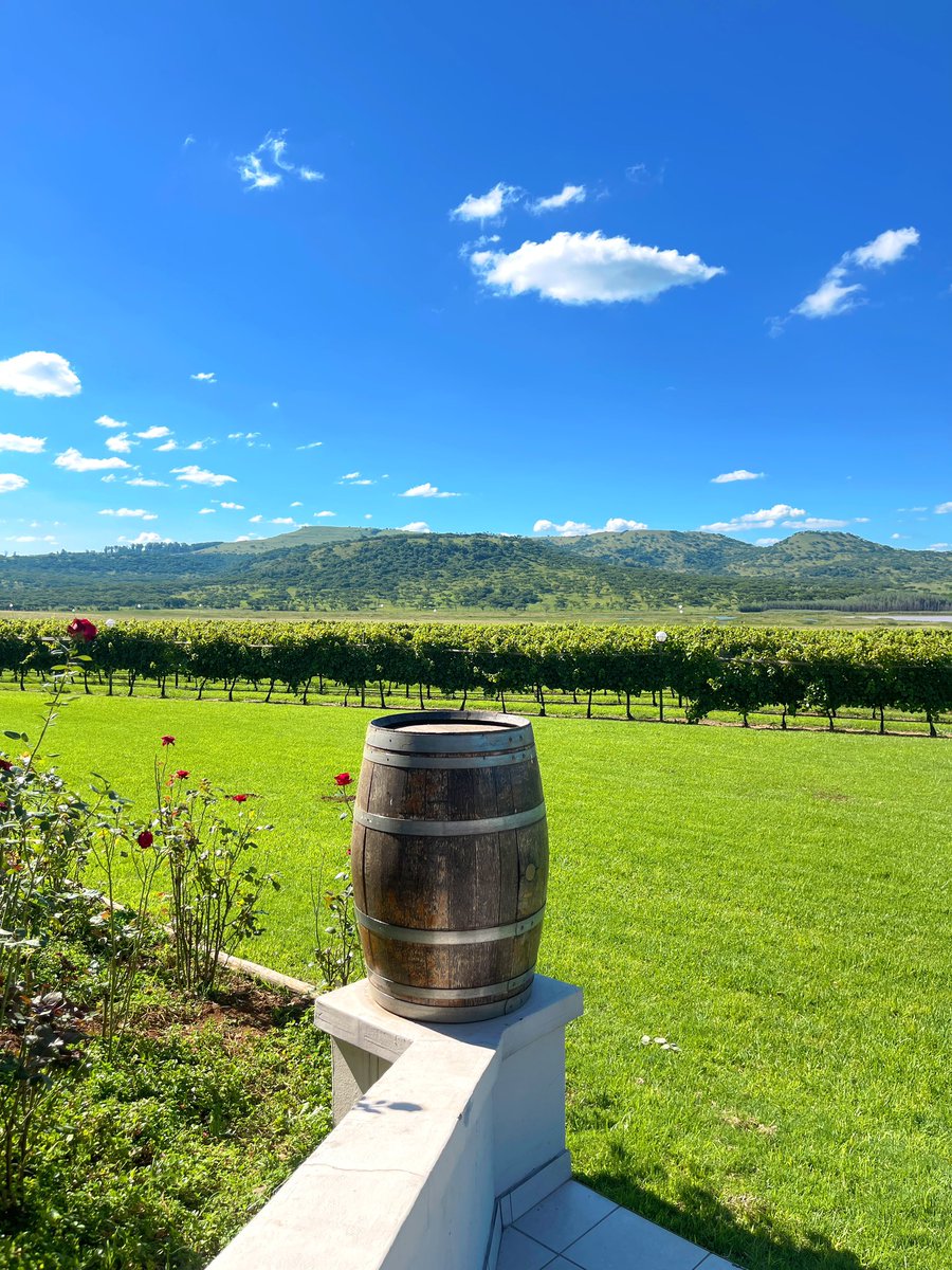 fynnba_'s tweet photo. Wine tasting in South Africa ๐ฟ๐ฆ at the Cathedral Peak Wine Estate ๐ท
A fun & intimate experience ๐ฅฐ with
@Travel2SA1
#howwesa #yourmomentsinsa https://t.co/noxzUXTHiT