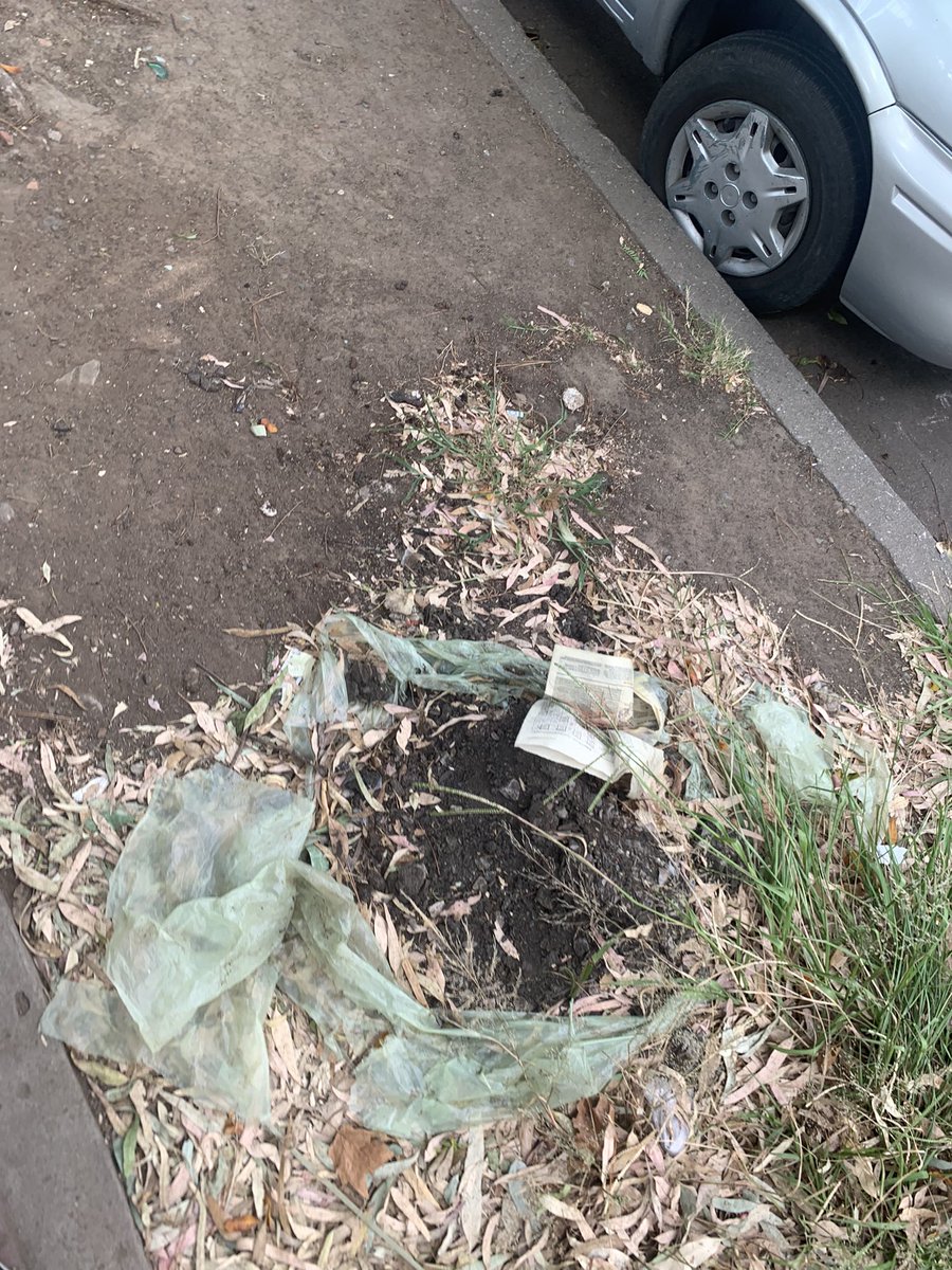 Sofía 🥋OM tweet media