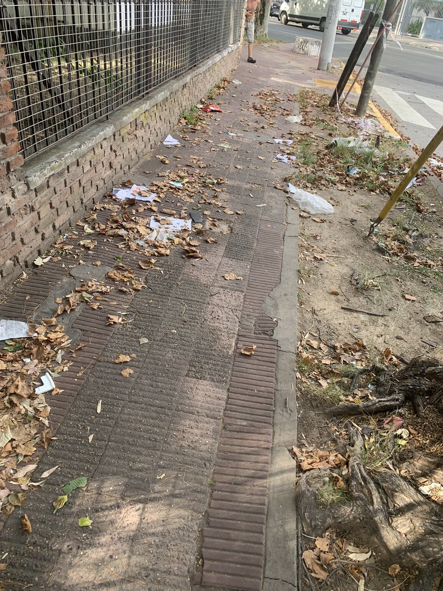 Sofía 🥋OM tweet media