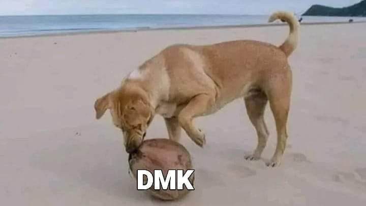 tinyamkumar's tweet photo. திமுக எம்பிகளின் நிலை. https://t.co/esHd2z113d
