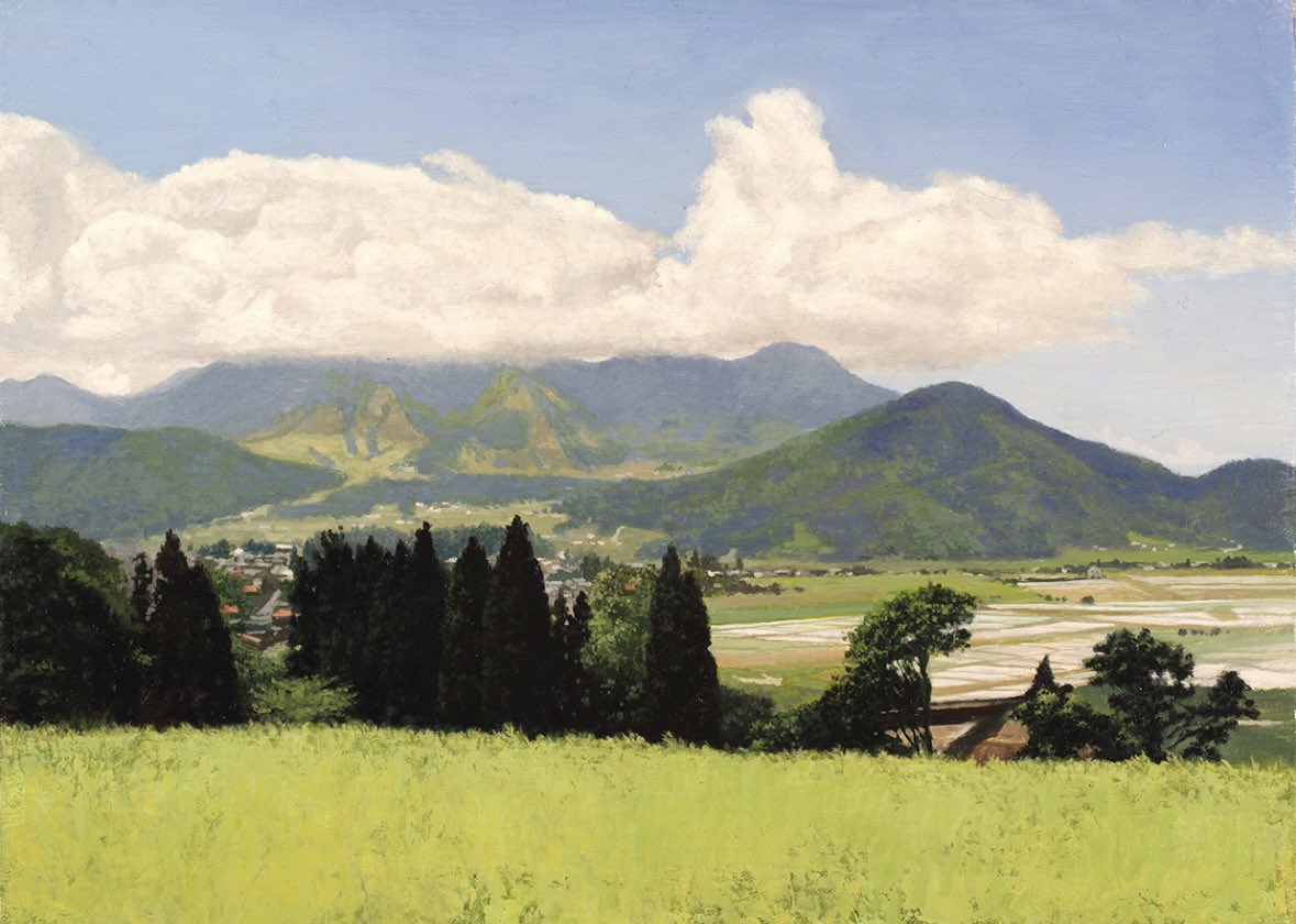 “Summer clouds”
45×33cm
oil on canvas

#oiloncanvas #landscape #landscapeoilpainting #fineart #kojinishifusa #koujinishifusa #風景画　#西房浩二の風景画