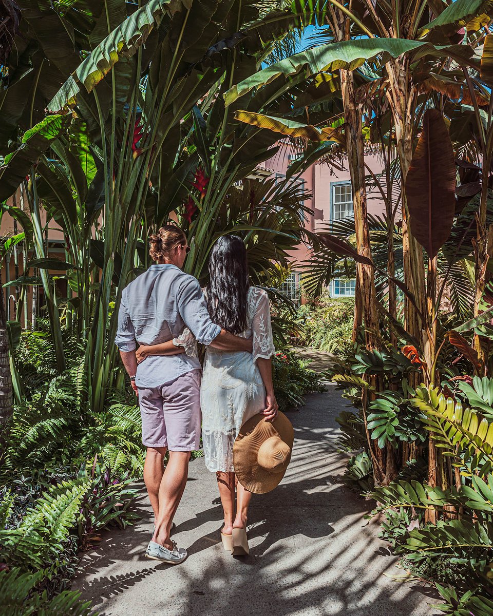¿Puede haber algo más romántico que pasar juntos nuestras vacaciones en #LaPalmaLaIslaBonita?

Feliz día de #SanValentin #DiaDeLosEnamorados #DiaDeSanValentin. Te ❤️❤️❤️