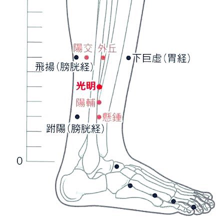 Brain_Style tweet picture