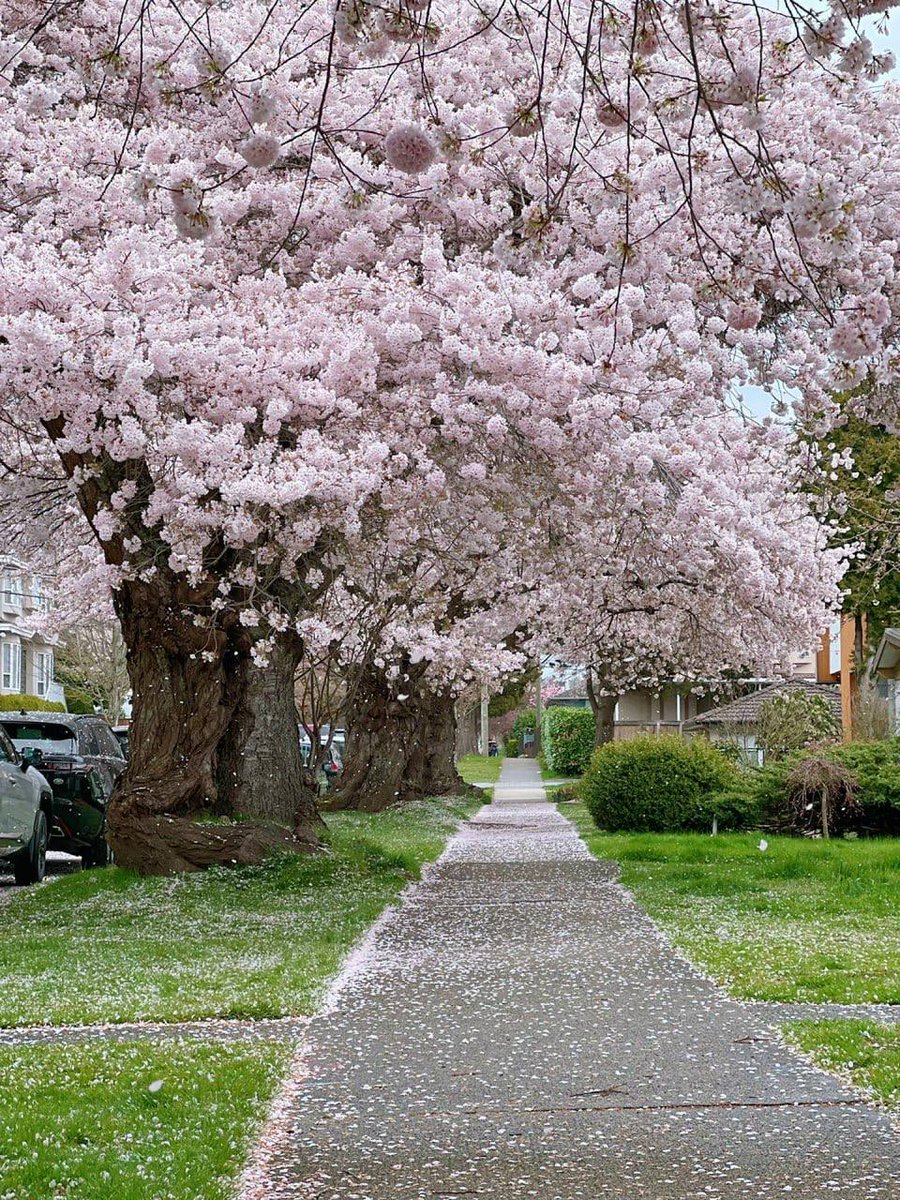 It's the most beautiful time of the year😍