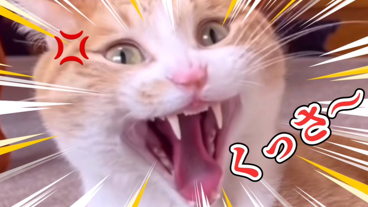 きなこもち　 国産大豆100％ 贅沢逸品豆乳きなこ餅|ISETAN DOOR