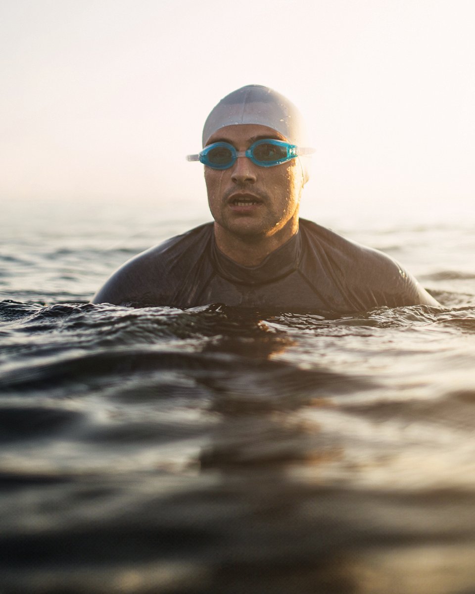 Alternaleaf tweet media