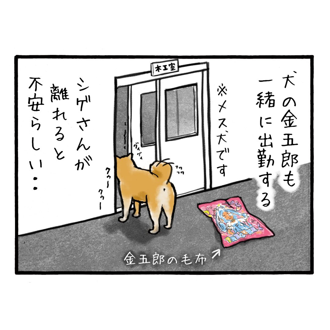 「木工職人のしげさん」
元々は現場大工だったのですが、もう現場はしんどいらしいです
#工務店の日報 