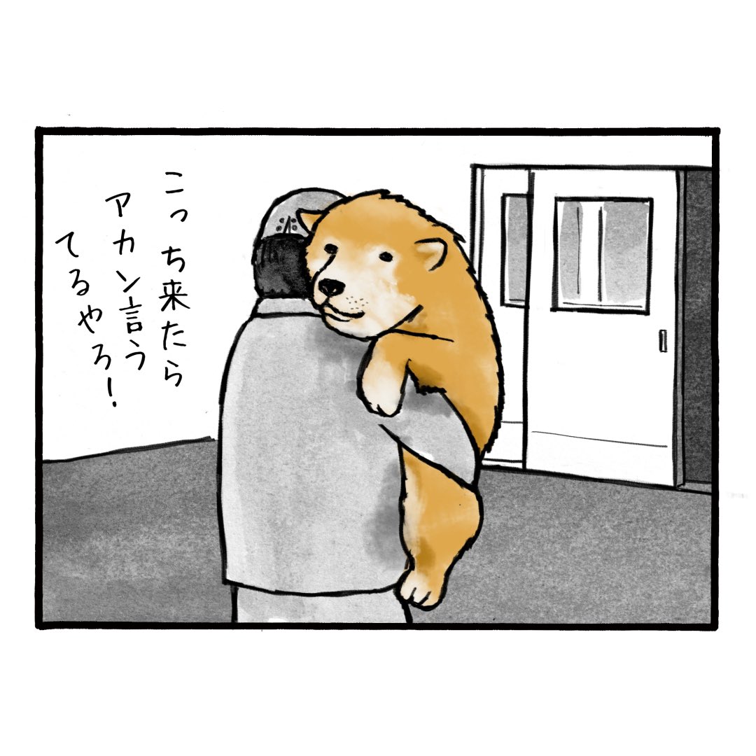 「木工職人のしげさん」
元々は現場大工だったのですが、もう現場はしんどいらしいです
#工務店の日報 