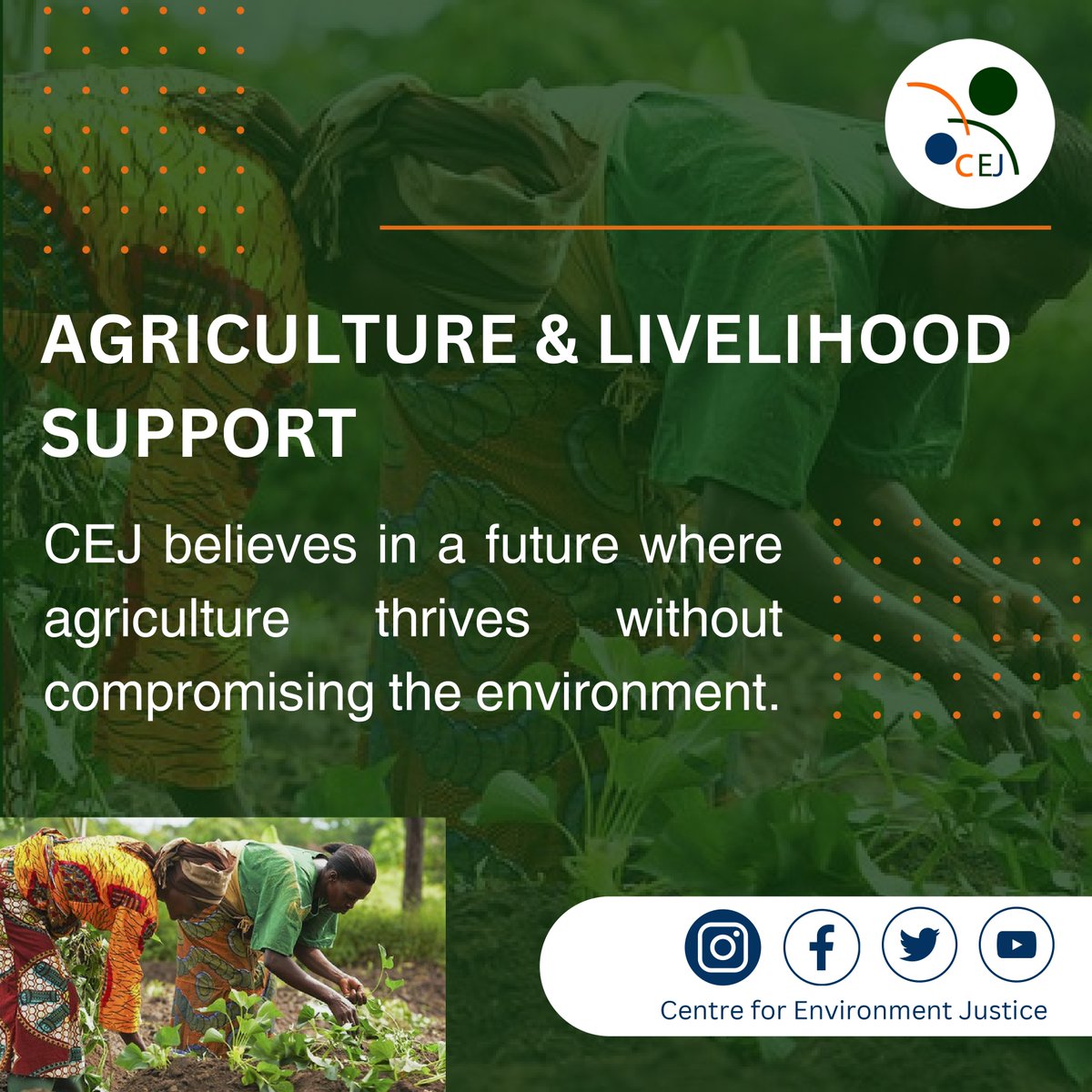 [ CEJ Agriculture and Livelihood Support ]
#Agriculture
#LivelihoodSupport