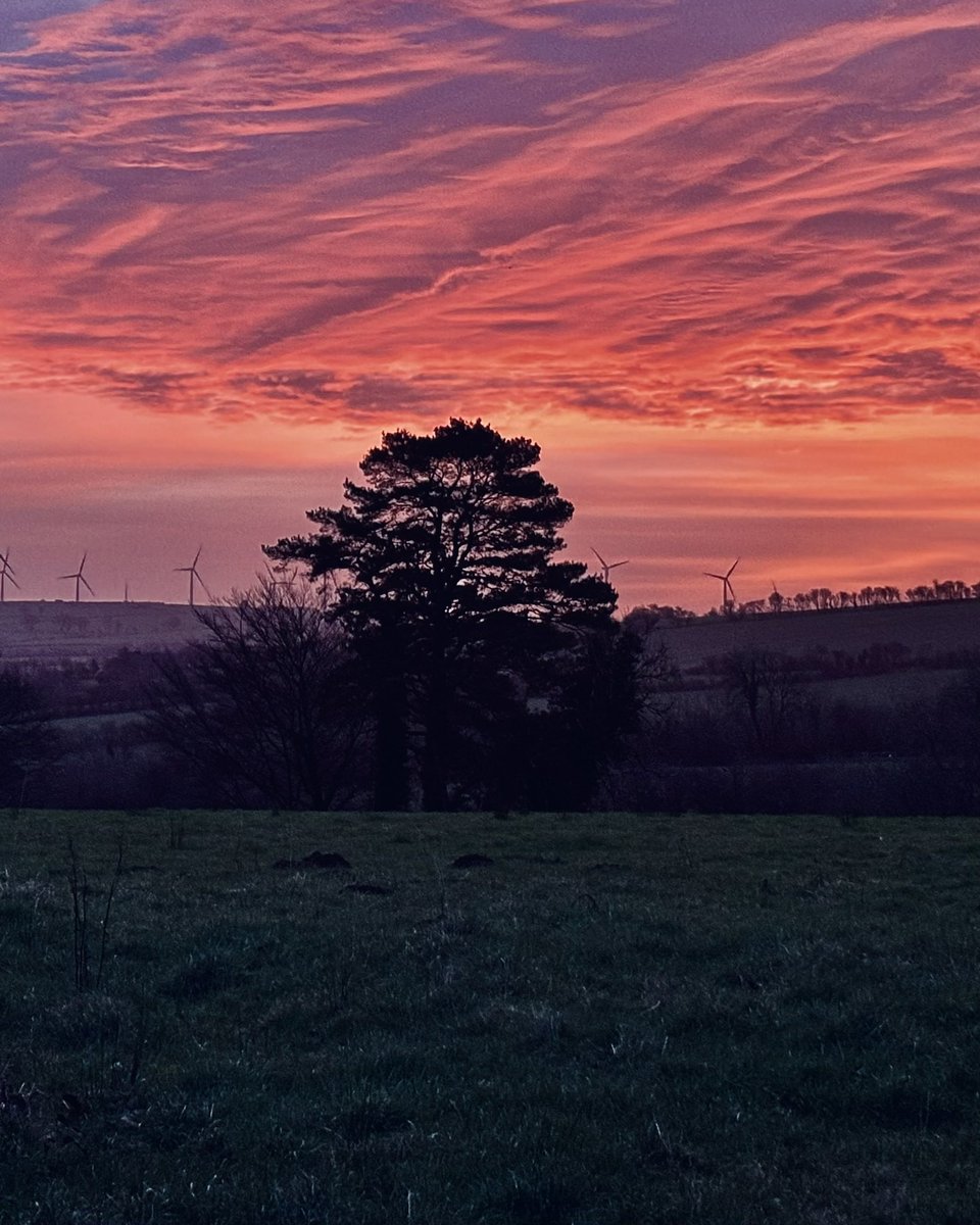 Wel dyna welliant peth cynta’ bore ‘ma…ma’r wên nôl ar y wep ‘ma😃
Bore da 👍🏼

Well this is more like it first thing this morning…the smile is back on this miserable mug😃
Bore da 👍🏼

<a href="/StormHour/">#StormHour</a> <a href="/ThePhotoHour/">#ThePhotoHour</a>