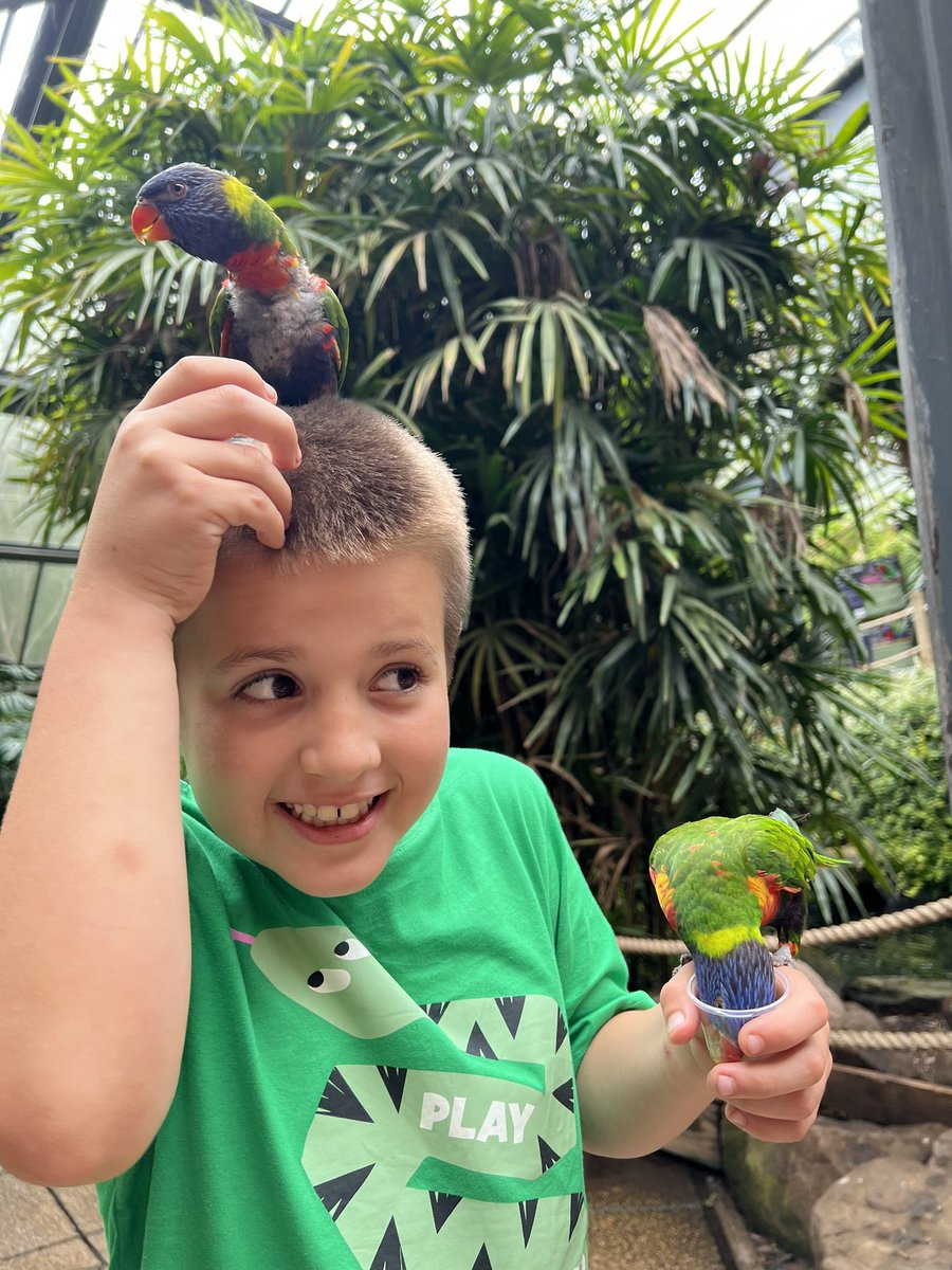 LottiiV's tweet photo. @wearefreeradio @jdfreeradio please say a big happy 8th birthday to Oscar! 🥳 #singyourtweets https://t.co/eDHtRZIash