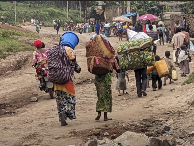 KamithBeny's tweet photo. Chers @fatshi13 @bembajp Faites quelque chose en urgence s’il vous plaît. Certes nous savons que vous êtes préoccupés par l’installation des institutions mais nous vous rappelons qu’au Nord-Kivu où vous avez été massivement voté, nous vivons plus chers pères https://t.co/VhXcOac5s2