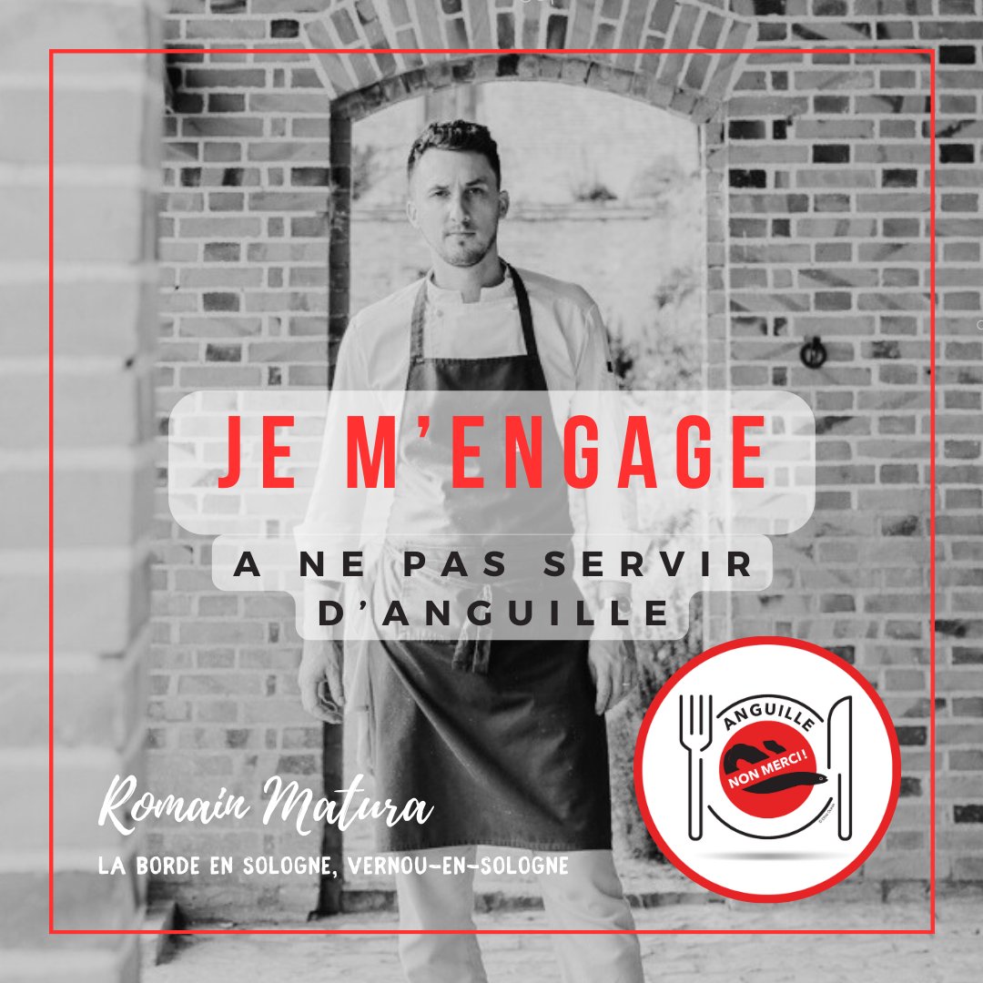 Ethic Ocean (@ethic_ocean) on Twitter photo Espèce en danger critique d'extinction et réglementation inadaptée...
Les Chefs continuent de se mobiliser.
Merci #RomainMatura #LaBordeenSologne
@relaischateaux <a href="/GHR_Paris_Idf/">GHR Paris IdF</a> #eurotoquesbelgique
#anguillenonmerci #eelnothanks Espèce en danger critique d'extinction et réglementation inadaptée...
Les Chefs continuent de se mobiliser.
Merci #RomainMatura #LaBordeenSologne
@relaischateaux <a href="/GHR_Paris_Idf/">GHR Paris IdF</a> #eurotoquesbelgique
#anguillenonmerci #eelnothanks