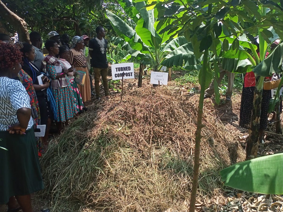 creadis2's tweet photo. Training local farmers to promote good agricultural practices with different technologies to enhance soil protection https://t.co/qrTpFbKLJL