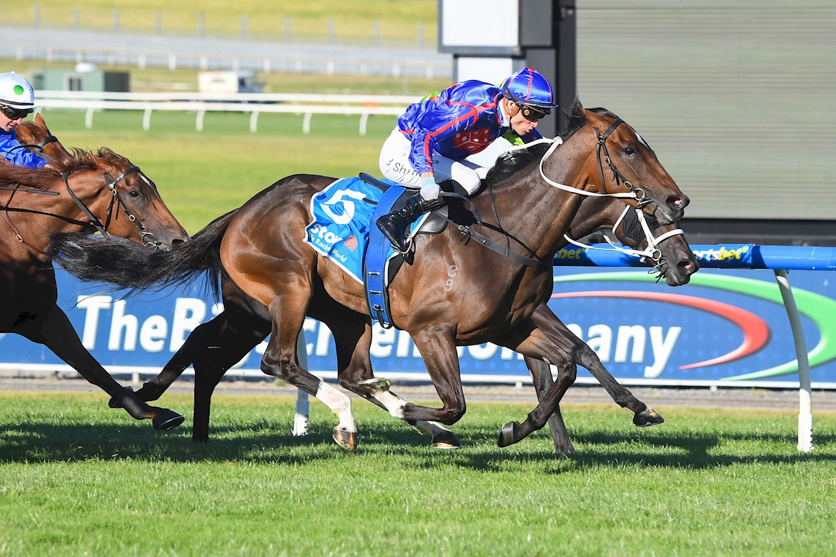 RolltheDiceRace's tweet photo. Tough win by #Tahlequahπ³ @melb_racing Sandown today. She was given no favours 3 wide but @blake_shinn did a great job to keep her rolling & she didn't let him down. Great job by @MickPriceRacing & the further the better moving forward π²ππ¨#StartRolling #ruready2RTD #Tarzino https://t.co/RwmEVwJXg5