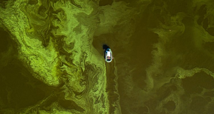 Onze wetenschappers hebben ism met collega's van Universiteit Utrecht en @PIK_Climate ontdekt dat stikstofvervuiling de veiligheid van 's werelds rivieren bedreigt. Hierdoor wordt water niet alleen schaars, het raakt ook vervuild ➡ wur.nl/nl/onderzoek-r… #duurzaamheid