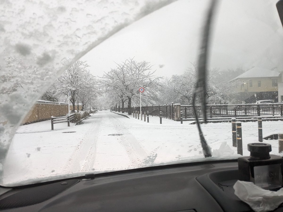 nelneroly_'s tweet photo. 一昨日は雪結構降りましたね。
八王子も雪国のようでした。
去年雪の中バイクで登校して後悔したので、今回はバスで登校しました。何気に3年間八王子で生きていて初めて乗るバスもありましたw
帰りは友達に送ってもらいました。

今日は雪もそこそこ解けたのでアドレス乗りましたがオイル交換時期です https://t.co/ZBX93kriuh