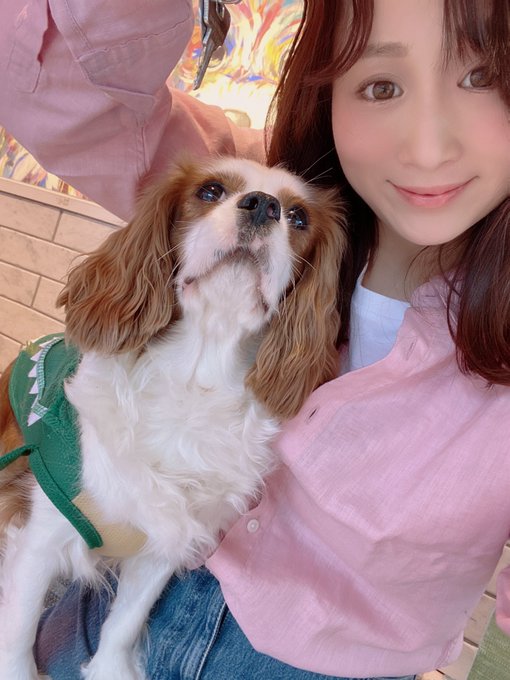 今日はワンコトリミング中に浮気しました🤣 https://t.co/CkcgUCNcHd