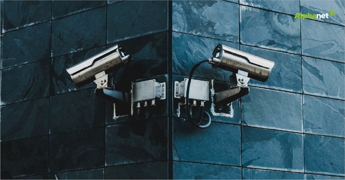 Alphanet tweet media