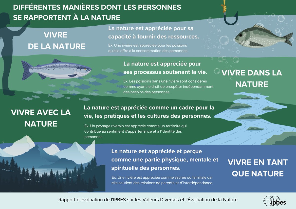 Les différentes visions du monde et les systèmes de connaissances influencent la façon dont les personnes interagissent avec &amp; valorisent la nature.🌱
—<a href="/IPBES/">ipbes</a> #ÉvaluationDesValeurs

Ces valeurs sont à prendre en compte pour lutter efficacement contre la crise de la #biodiversité.