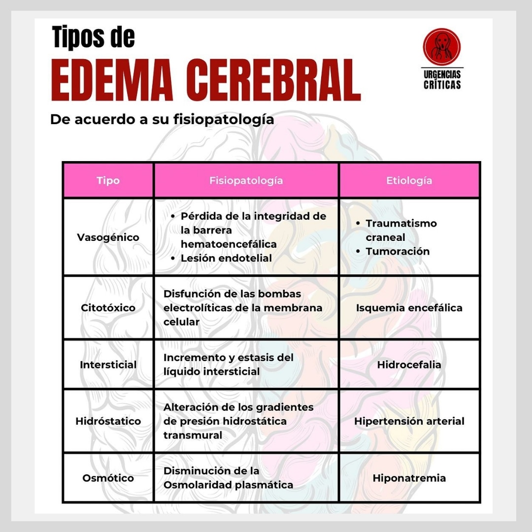 Formacion Sanitaria (@formsanitaria) on Twitter photo Tipos de edema cerebral según su fisiopatología
.
Infografía <a href="/UrgCrit/">Urgencias Críticas</a>
.
.
#formaciononline #formacionsanitaria #cursosonline #sanidad #edemacerebral #cursosanitarios #medicina Tipos de edema cerebral según su fisiopatología
.
Infografía <a href="/UrgCrit/">Urgencias Críticas</a>
.
.
#formaciononline #formacionsanitaria #cursosonline #sanidad #edemacerebral #cursosanitarios #medicina