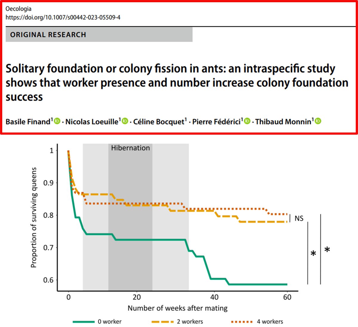 Basile Finand tweet media