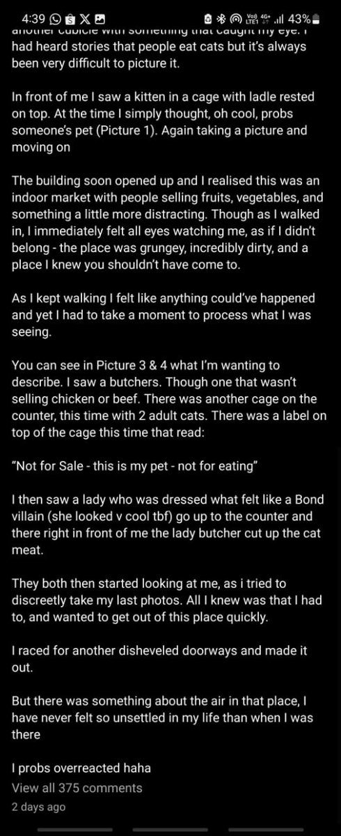 samantha_cavill's tweet photo. I tak faham apa tgh jadi ni, dorang sembelih ke tak. Apparently dia bgtau situ its my pet but then org tu kata nampak pulak kucing kena sembelih https://t.co/VUyN7q5VLc